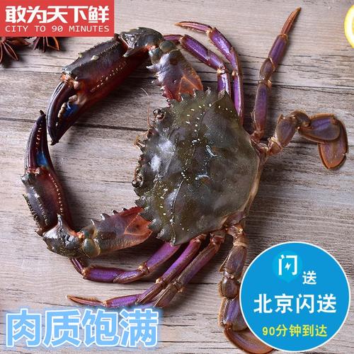 2-4只1斤 北京闪送 鲜活赤甲红 螃蟹 海鲜 水产石蟹海虹蟹
